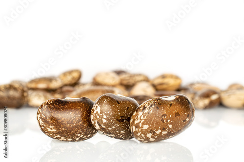 Lot of whole dried speckled brown bean pinto isolated on white background