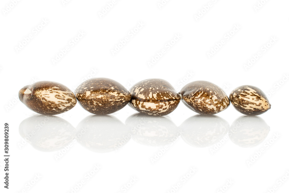 Group of five whole speckled brown bean pinto in line isolated on white background Group of five whole speckled brown bean pinto in line isolated on white background