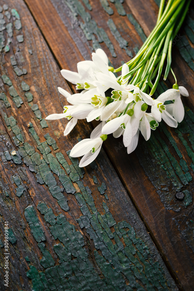 White snowdrop flowers on wooden background White snowdrop flowers on wooden background