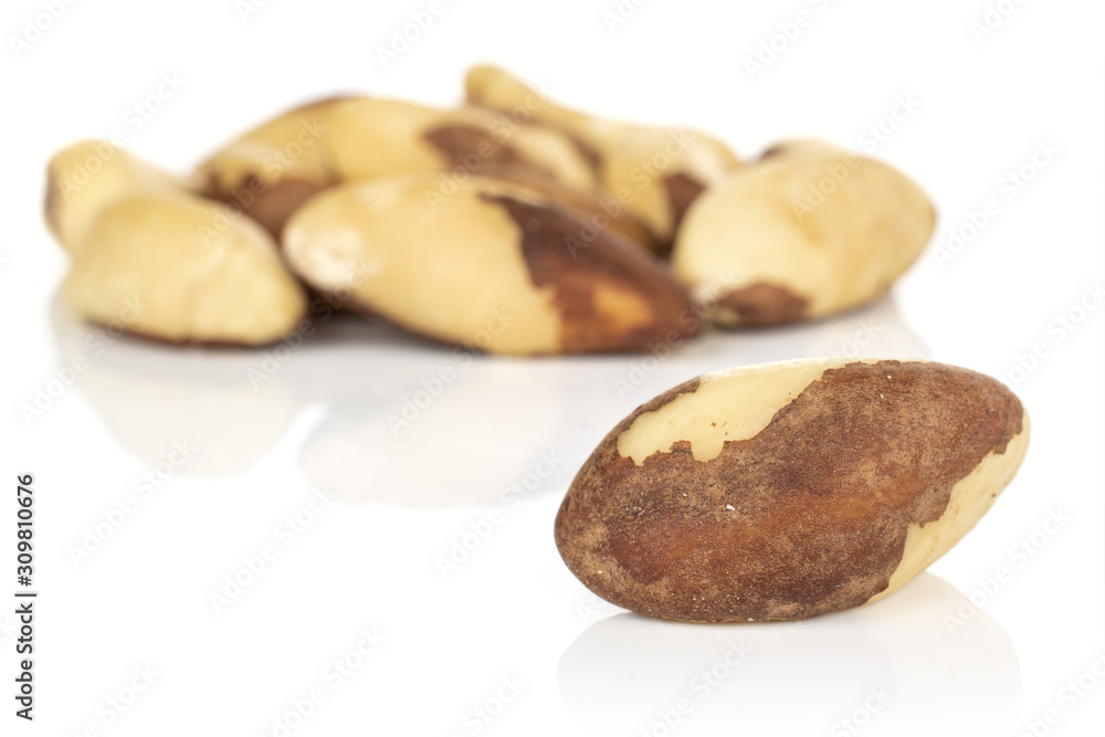 Lot of whole brazil brown nut front focus isolated on white background Lot of whole brazil brown nut front focus isolated on white background