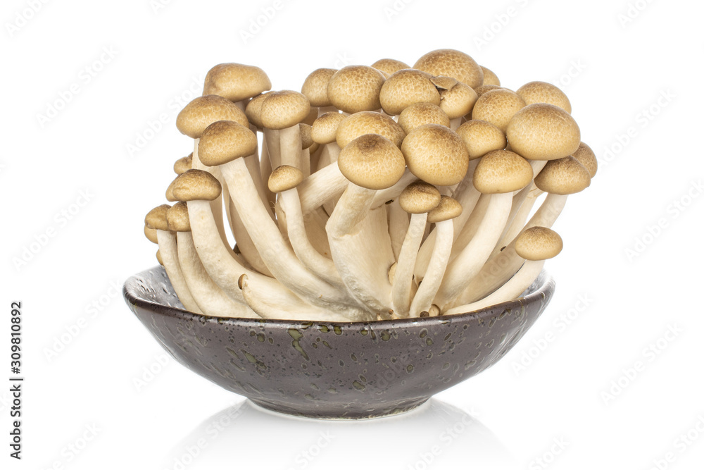 Lot of whole shimeji brown mushroom in glazed bowl isolated on white background Lot of whole shimeji brown mushroom in glazed bowl isolated on white background