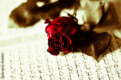 red rose on Koran open