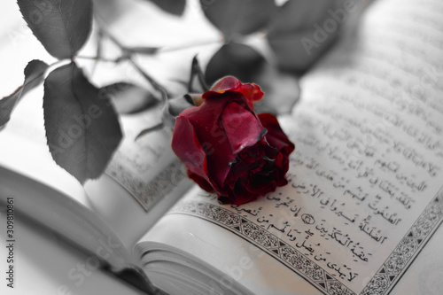 red rose and koran on wooden table