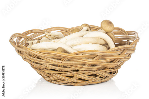 Lot of whole shimeji brown mushroom in round rattan bowl isolated on white background