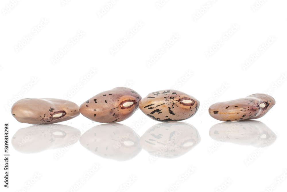 Group of four whole fresh speckled bean pinto isolated on white background Group of four whole fresh speckled bean pinto isolated on white background