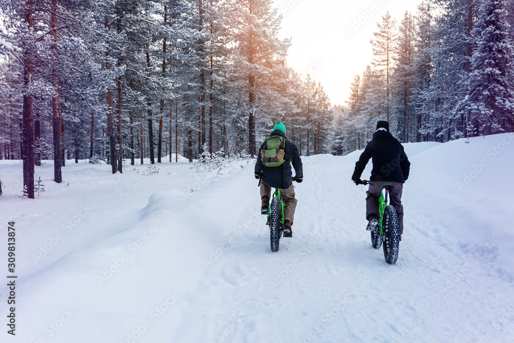 two people with fat bikes riding snowy winter forest trail in finland