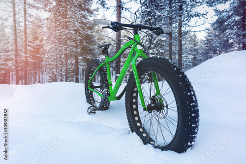outdoor adventures - fat bike standing in the snow in snowy forest