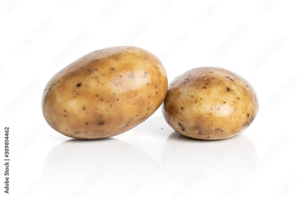 Group of two whole tiramisu brown almond nut isolated on white background Group of two whole tiramisu brown almond nut isolated on white background