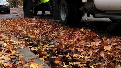 Wallpaper Mural 4K HD video of close up on street of workers vacuuming leaves off a street. The City of Alameda's urban forest is given a high priority, including clean up of leaves falling each year. Torontodigital.ca