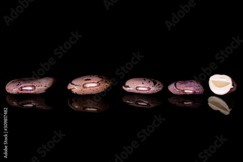 Group of four whole one half of fresh speckled bean pinto isolated on black glass