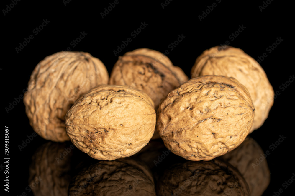 Group of five whole fresh brown walnut isolated on black glass Group of five whole fresh brown walnut isolated on black glass