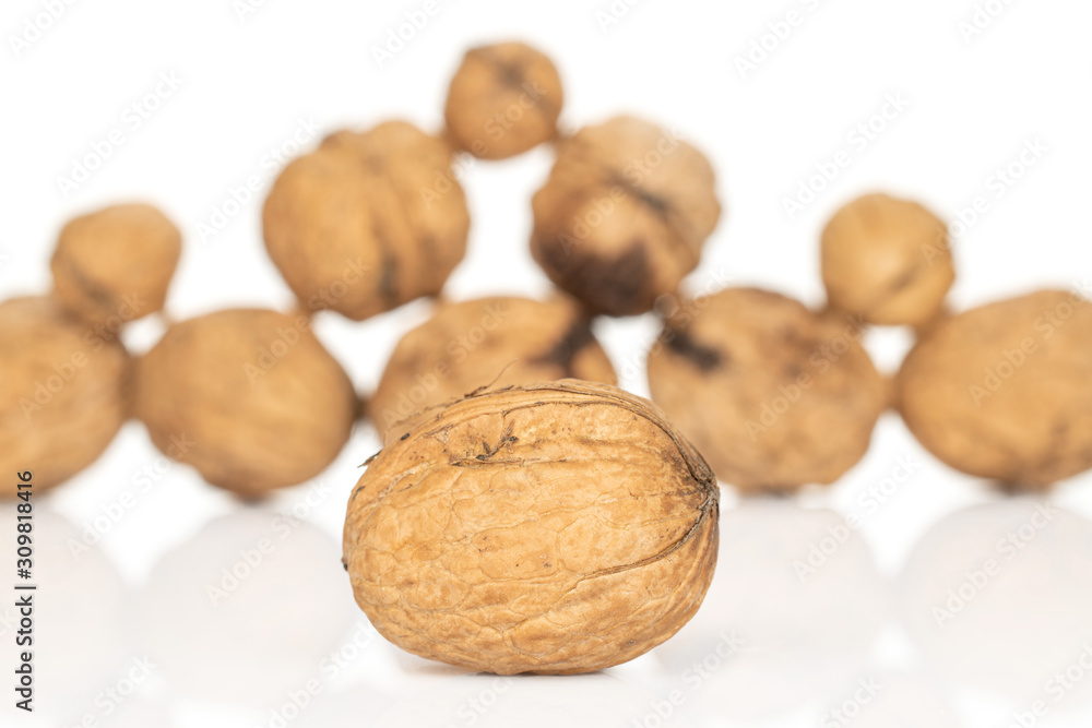 Lot of whole fresh brown walnut front focus isolated on white background Lot of whole fresh brown walnut front focus isolated on white background