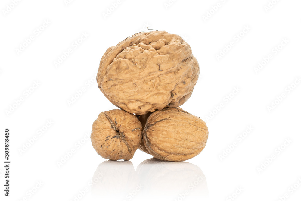 Group of four whole fresh brown walnut isolated on white background Group of four whole fresh brown walnut isolated on white background