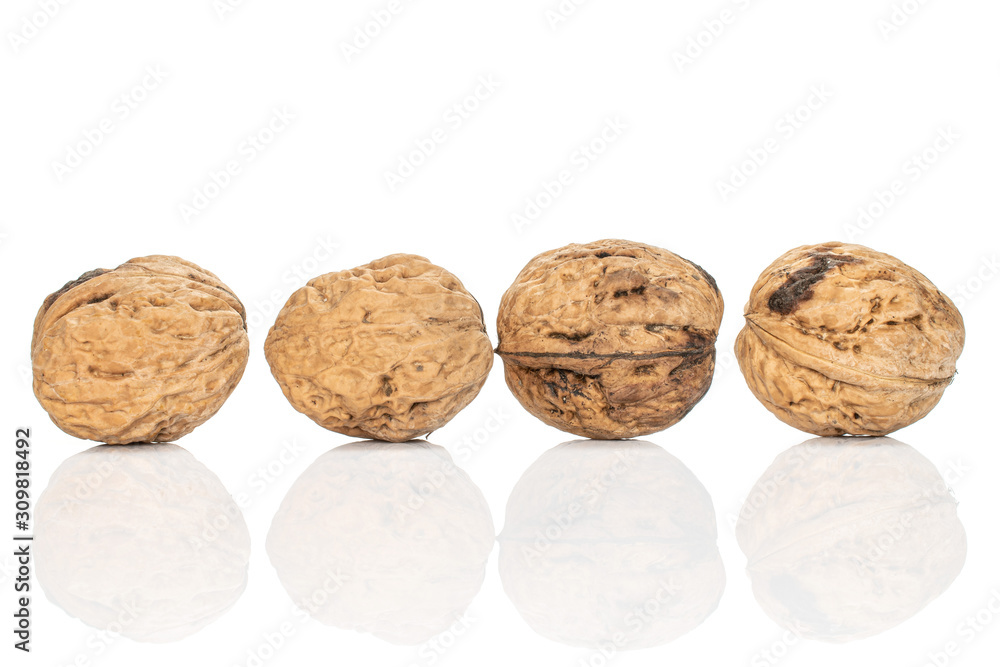 Group of four whole fresh brown walnut line isolated on white background Group of four whole fresh brown walnut line isolated on white background