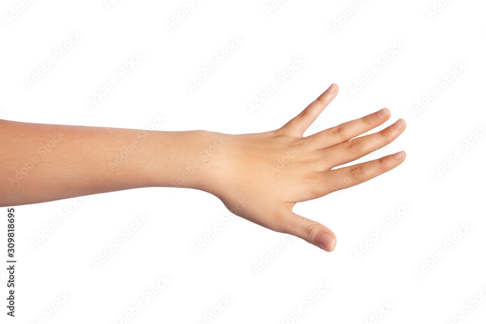 woman hand on the white background