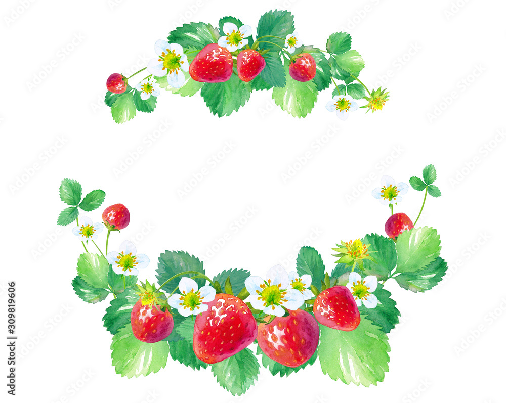 イチゴの丸型フレーム 水彩イラスト Stock イラスト Adobe Stock