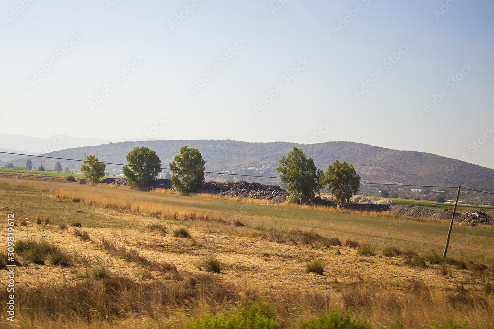 Beautiful view on yellow hills and grassland with green trees, stone rocks in Bodrum, Mugla, Turkey. Travel and vacation concept Beautiful view on yellow hills and grassland with green trees, stone rocks in Bodrum, Mugla, Turkey. Travel and vacation concept