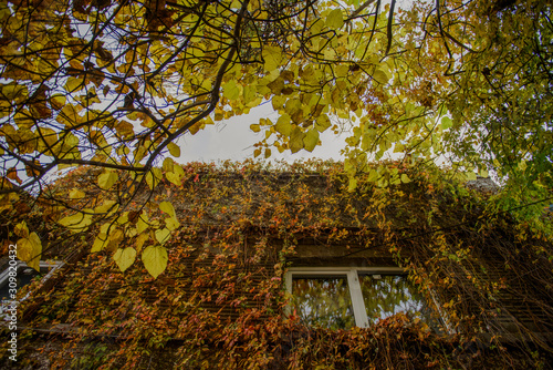 old house in bucharest city center photo