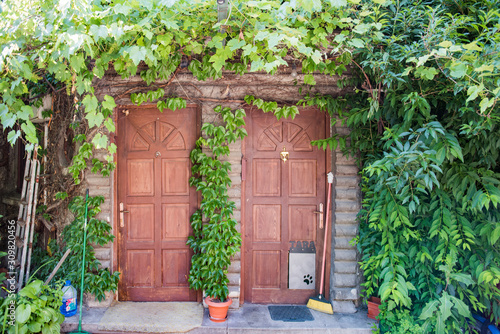 entrance door covered with vegetation in Bucharest city center photo