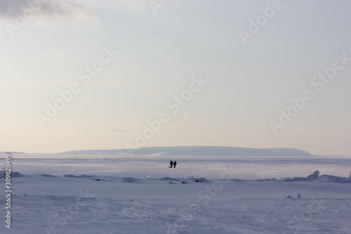 Winter snowy landscape with the plain and the sky