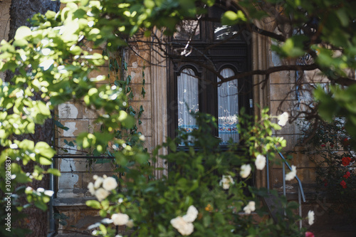 old house covered with vegetation in Bucharest city center