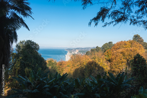 cliff from a cliff overlooking the sea and the forest. Botanical garden in the city of Batumi from a height. Coastline. Fall season