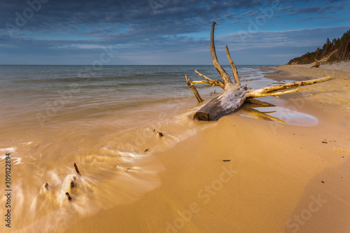 View of the beaches in Karwienskie Blota, Poland. photo