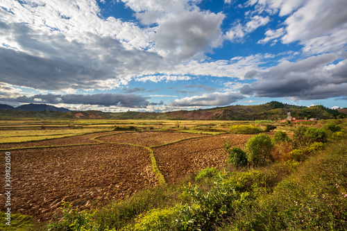 Rice fields landscape, Andasibe, Madagascar