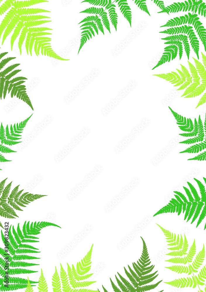Frame of fern leaves. Botanical illustration with leaves. Design elements. Vector illustration.