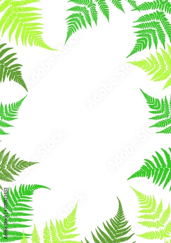 Frame of fern leaves. Botanical illustration with leaves. Design elements. Vector illustration.