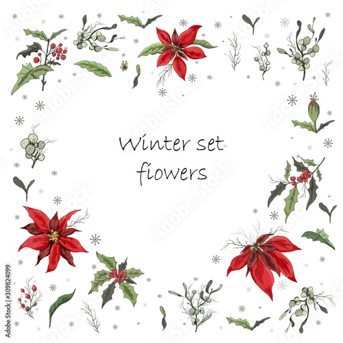 hand drawn set of heart-shaped. realistic, Botanical doodles. modern flowers (poinsettia, white mistletoe, Holly), elements for floral decoration of the winter season.