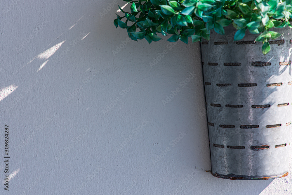 Planta decoration ,decoración fondo