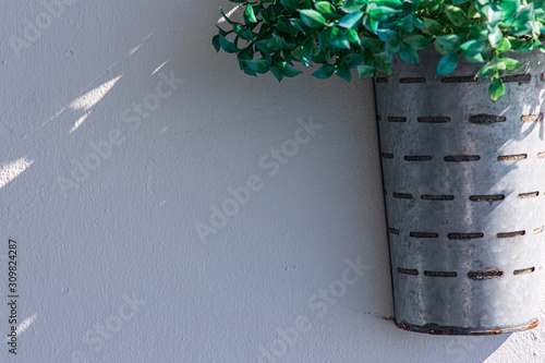 Obraz na płótnie Planta decoration ,decoración fondo w salonie