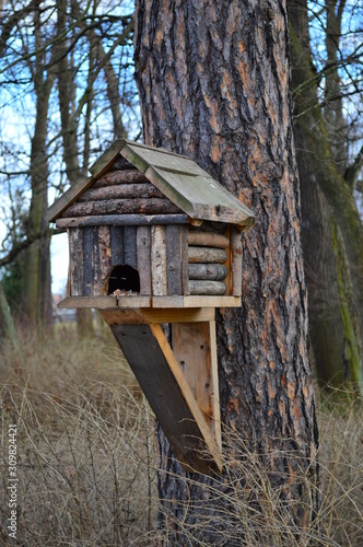 birdhouse on tree © Иван Шабадаев