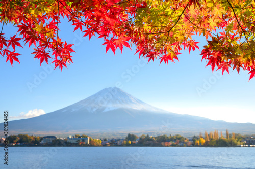 Mount Fuji view from lake Kawaguchiko the famous scenic attraction in Autumn
