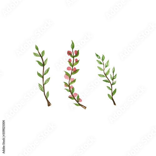 Watercolor illustration of spring green branches. Hand-drawn in watercolor and suitable for all types of design.