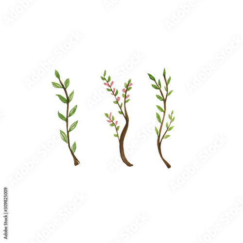 Watercolor illustration of spring flowers, green branches. Hand-drawn in watercolor and suitable for all types of design.