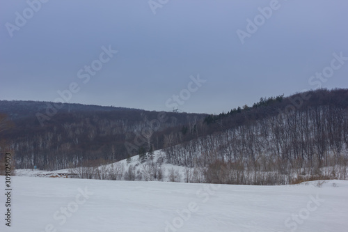 Winter snowy landscape with hills and trees