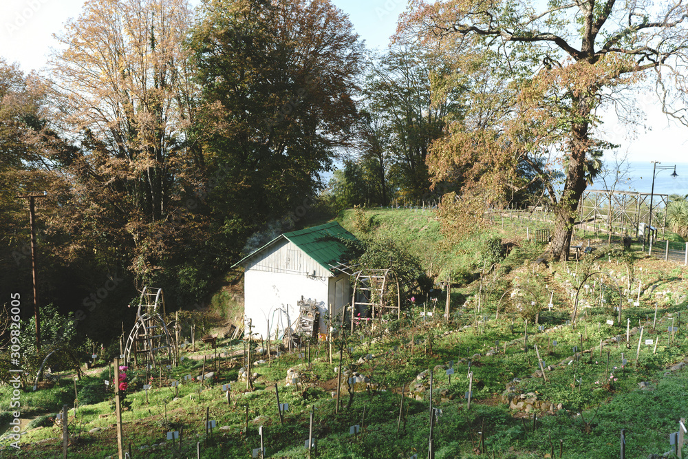 Rural house with smoke from a chimney on a green plantation. Trees and a meadow surround the house. Summer autumn