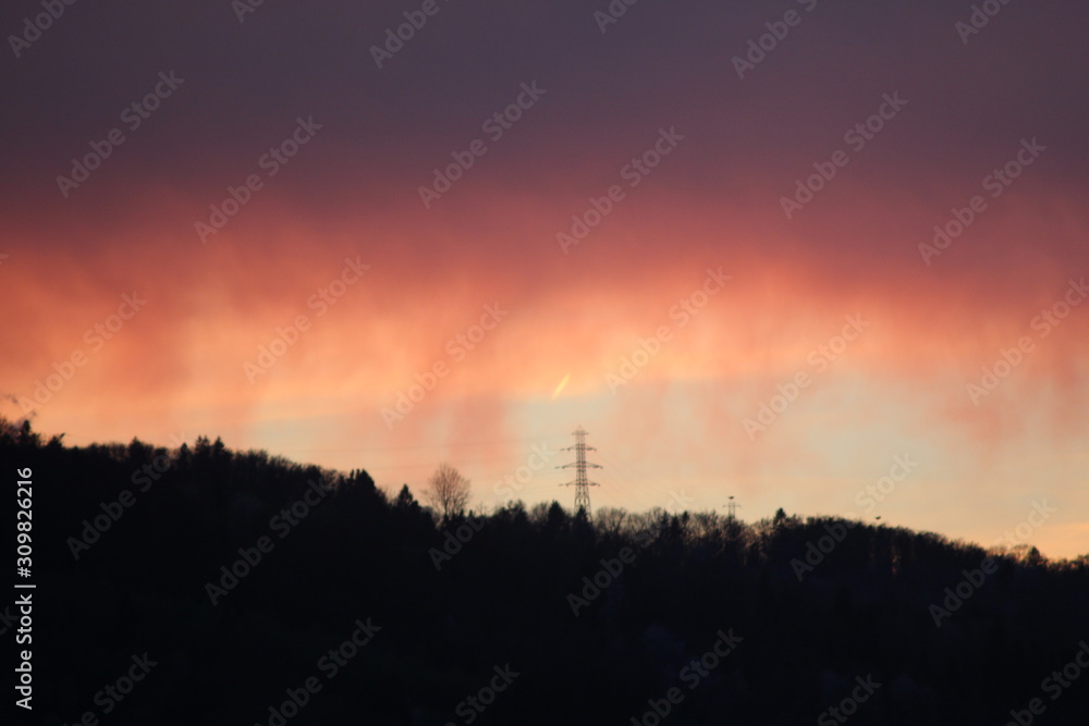 Fototapeta premium braume