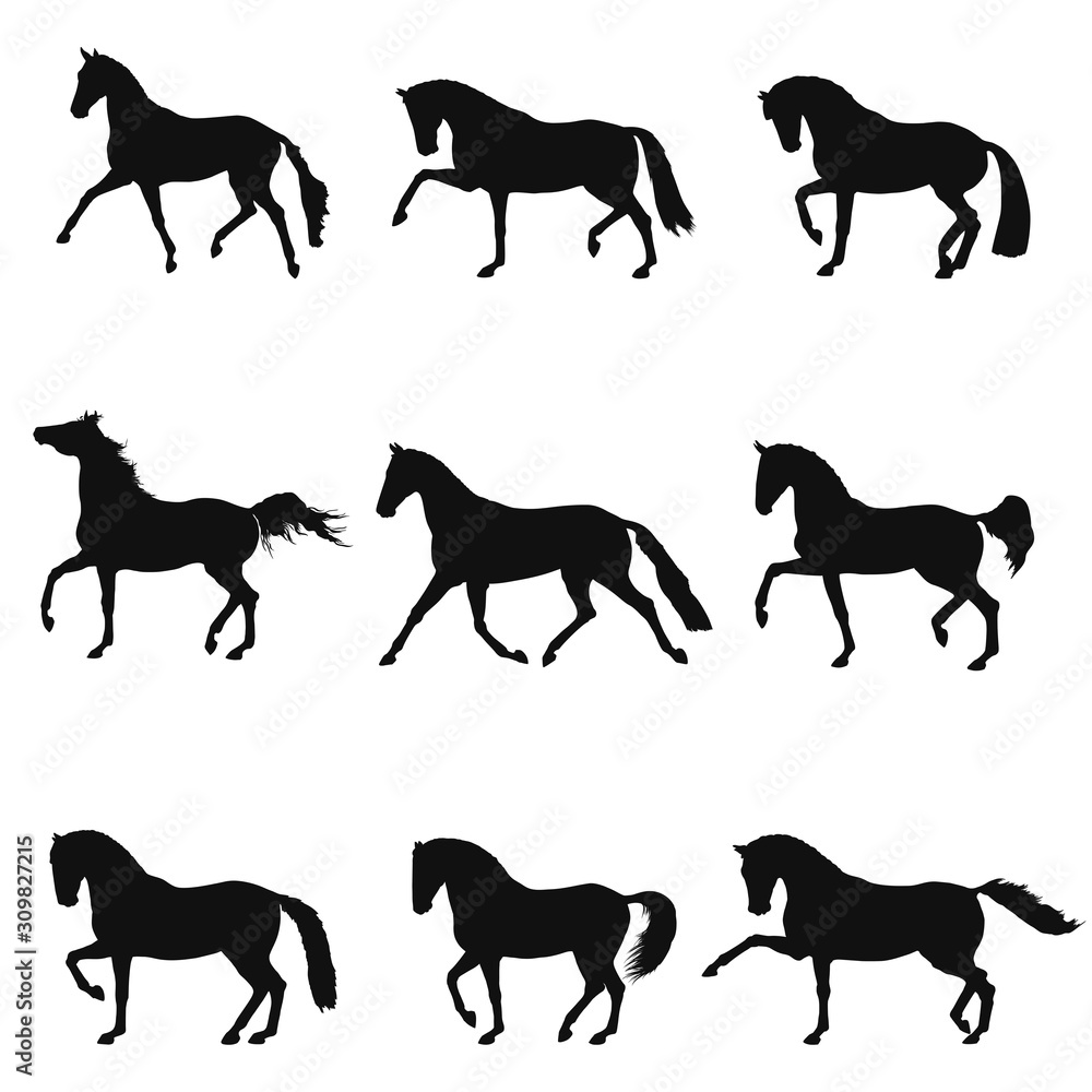 Set of silhouettes free trotting horses