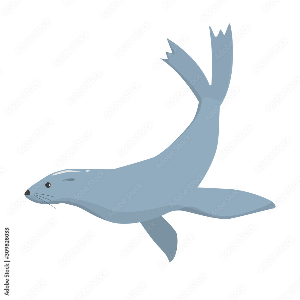 Seal vector isolated. Underwater animal, arctic creature