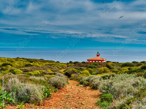 Panorama of the lighthouse of the Giannutri island Tuscan archipelago Italy photo