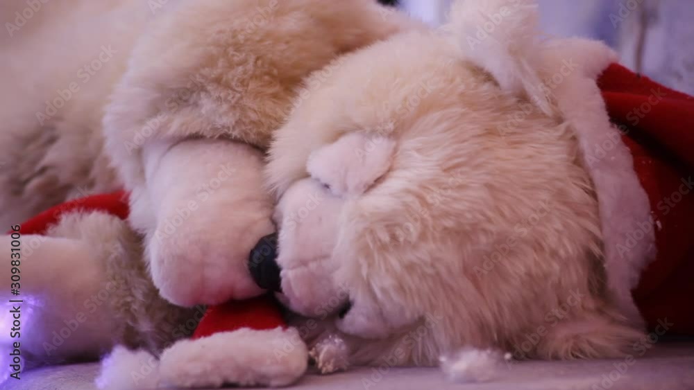 teddy bear teddy bear