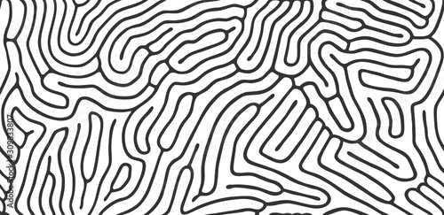 Vector seamless maze pattern. Organic irregular rounded lines. Abstract background.