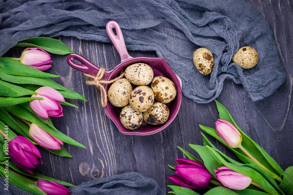 Spotted quail eggs and pink spring flowers tulips on a gray wooden background. Top view