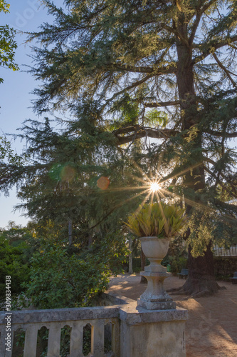 Gardens next to the University of Coimbra