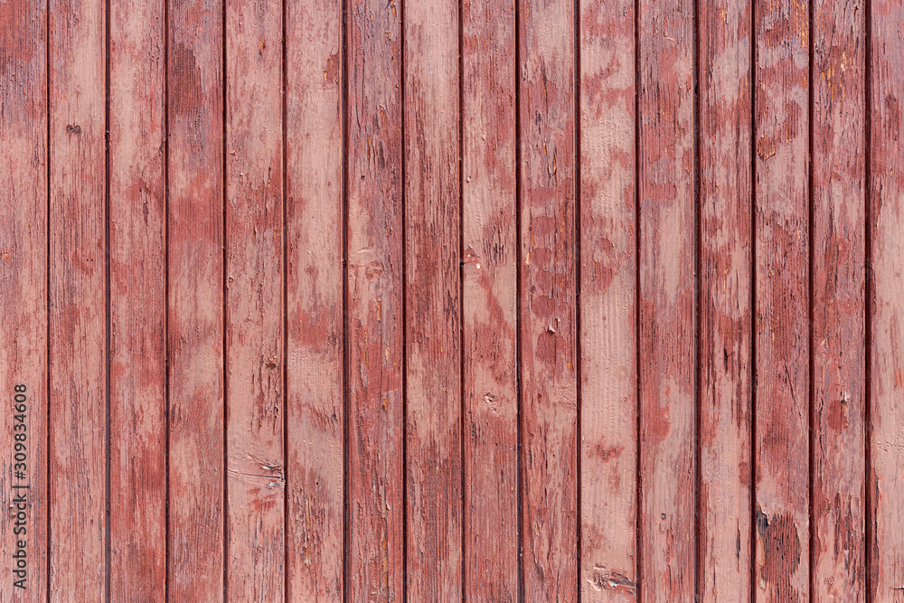 Fototapeta premium Old painted wood wall - texture or background