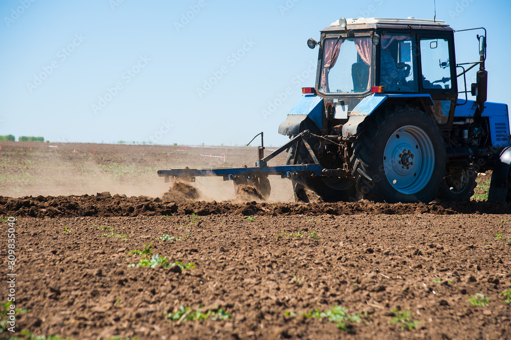 Fototapeta premium Agriculture with a tractor