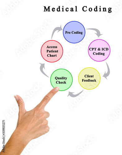 Five Components of Medical Coding
